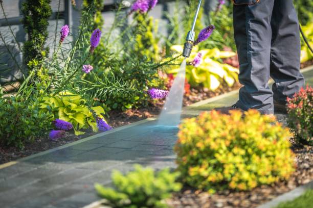 Best Animal Enclosure Cleaning  in Foscoe, NC